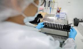 fiocruzmalaria