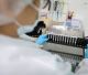 Fiocruz obtém patente para tratamento contra malária resistente